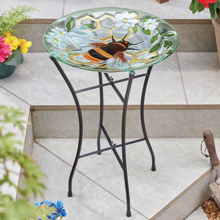 5050642113069 1 Bee Design Glass Bird Bath.jpg